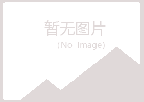 鹤岗兴山岑迷金属有限公司